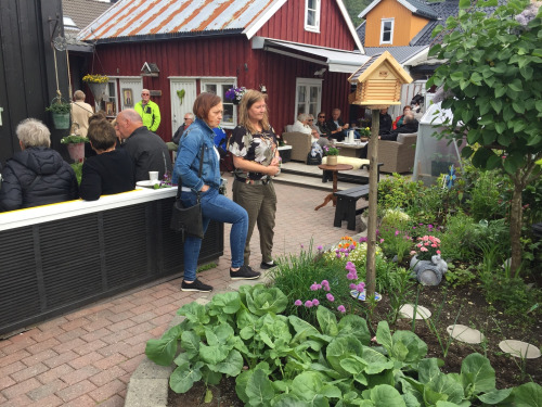 Bakgårdsmarked Nerøra Orkanger